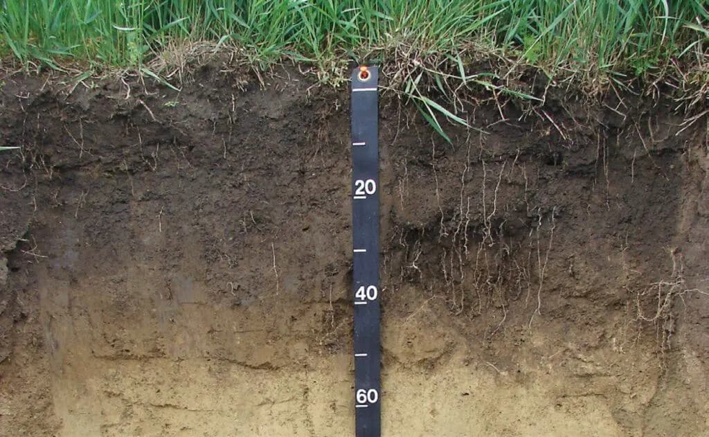 Best Soil Depth for Grass: Lawn Seeding & Sod Guide 2026